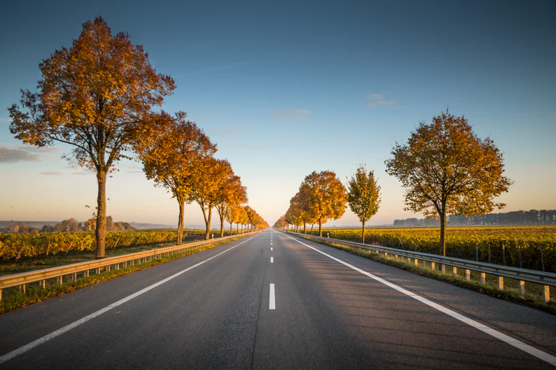 A professionally paved road stretches into the distance.